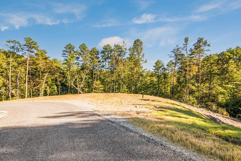 Other - Lot 183 Canoe Point, Ellijay, GA