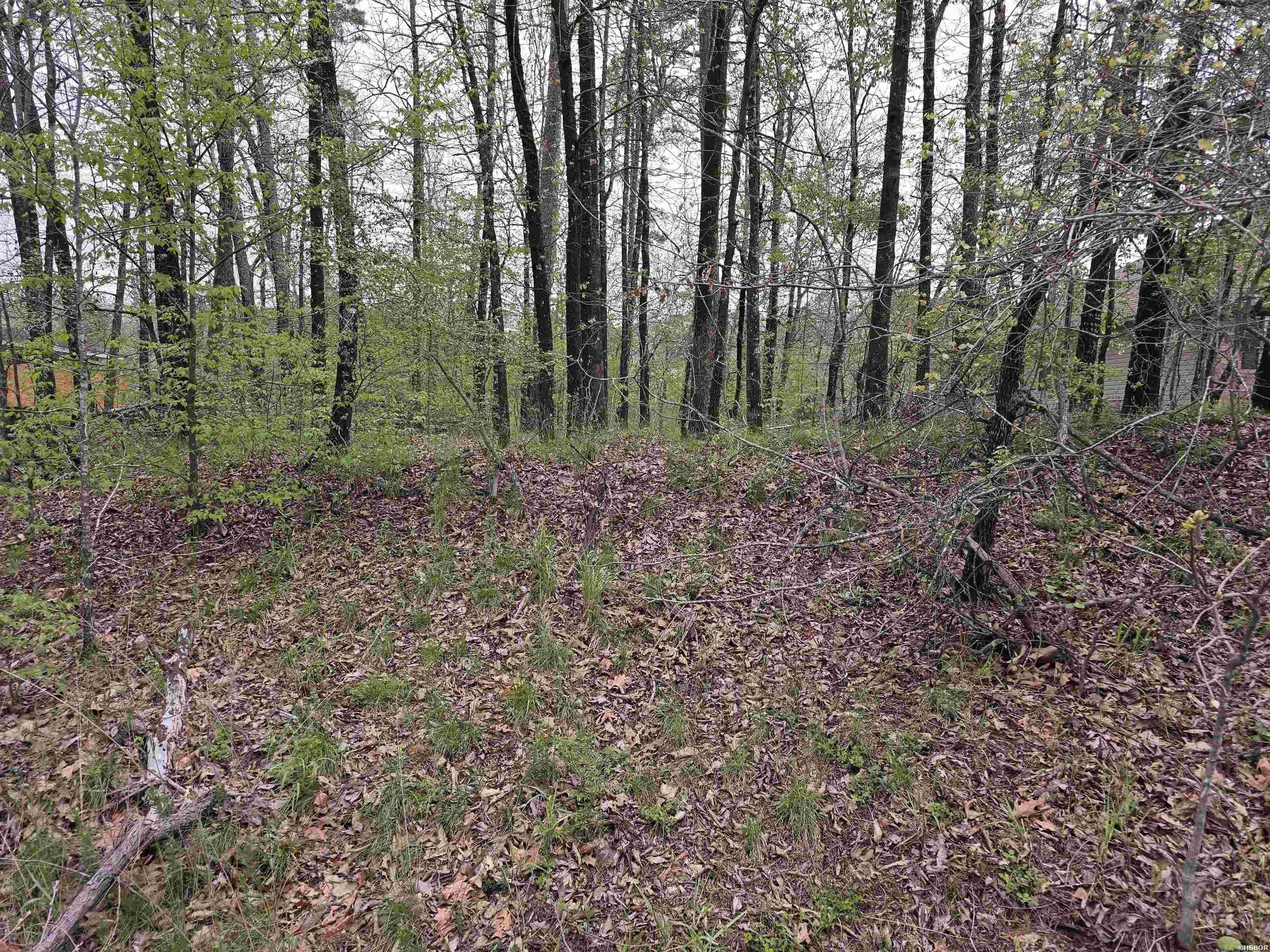 Single Family - Lot 2238 PLUM HOLLOW, Hot Springs, AR