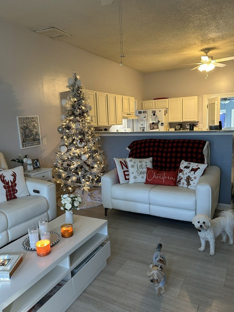 Single Family 3BR 2BA - 220 Anderson Rd, PARIS, TN