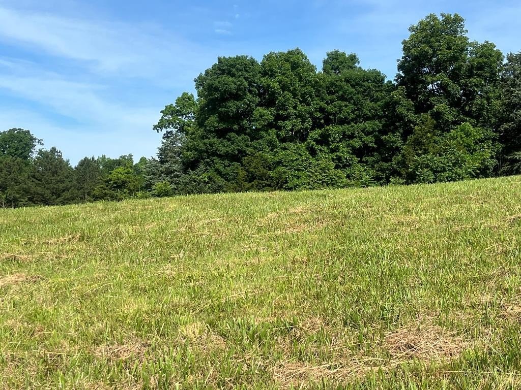 Other - Holly Bend Drive lot: 60, Byrdstown, TN