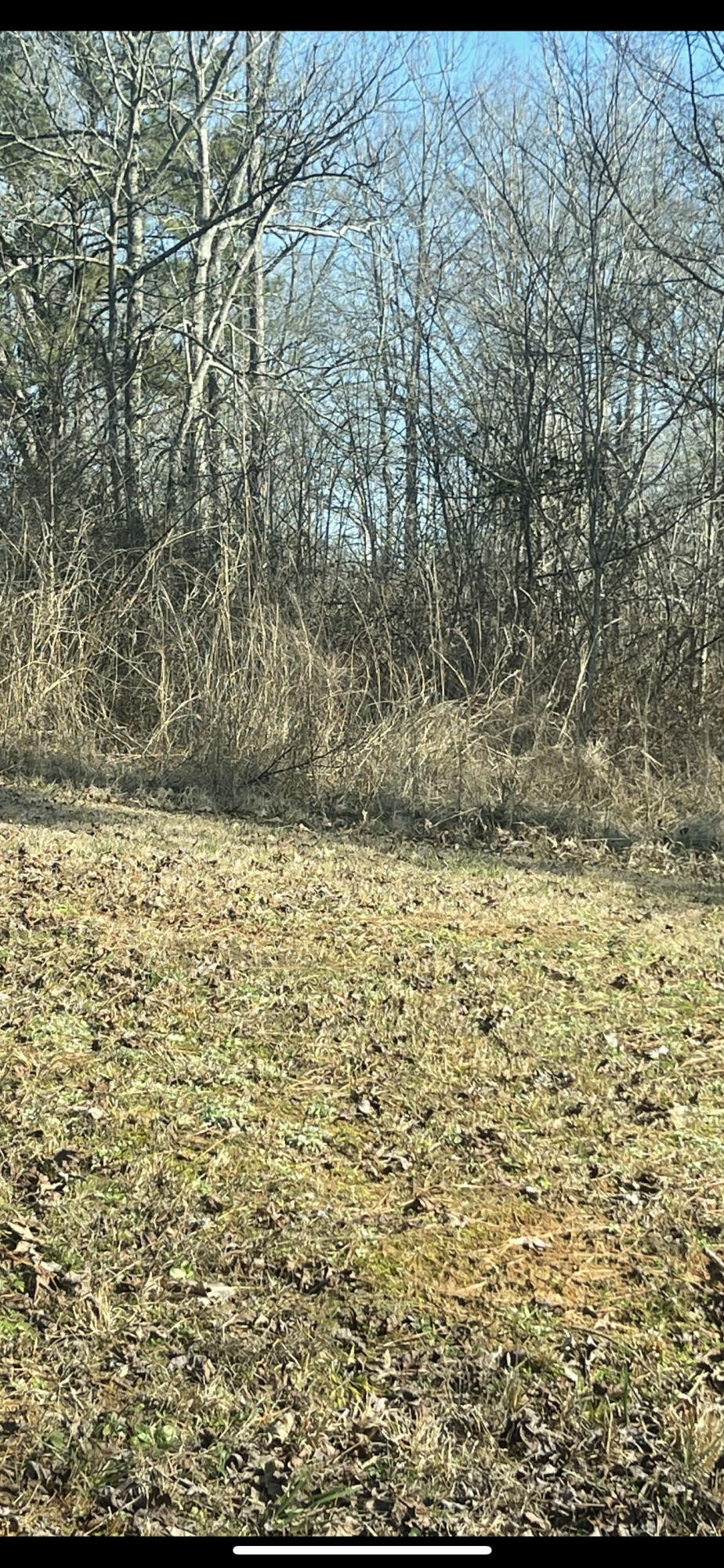Lots 17-19 Rollingwood Cir  