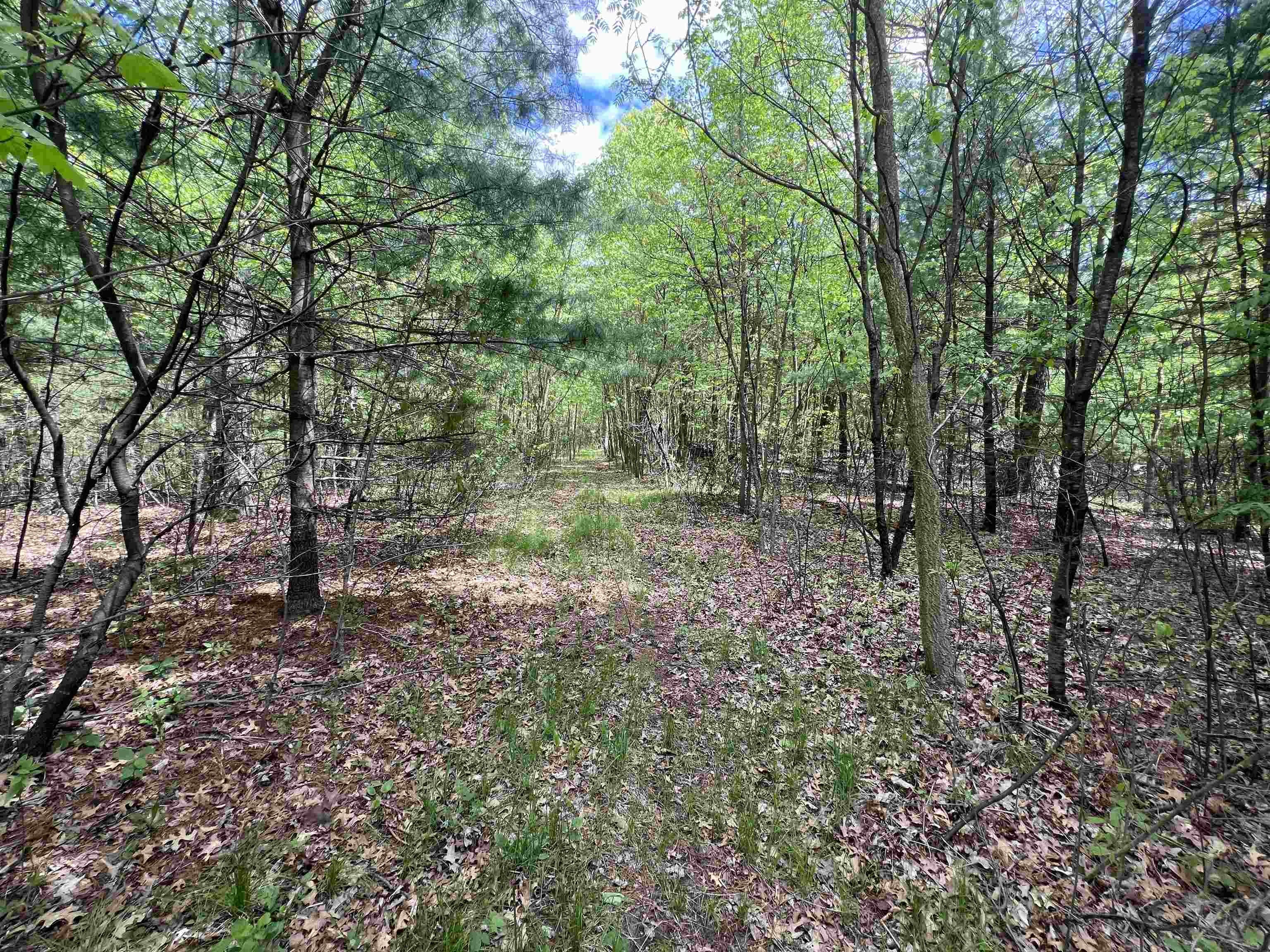 Other - 17.75 Acres County Road G, Oxford, WI