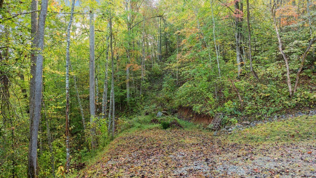 Other - Quail Ridge Dr lot: 24-28, Franklin, NC