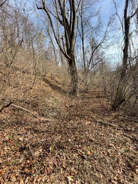 Other - Orchard Gap Rd lot: 36-39, Fancy Gap, VA