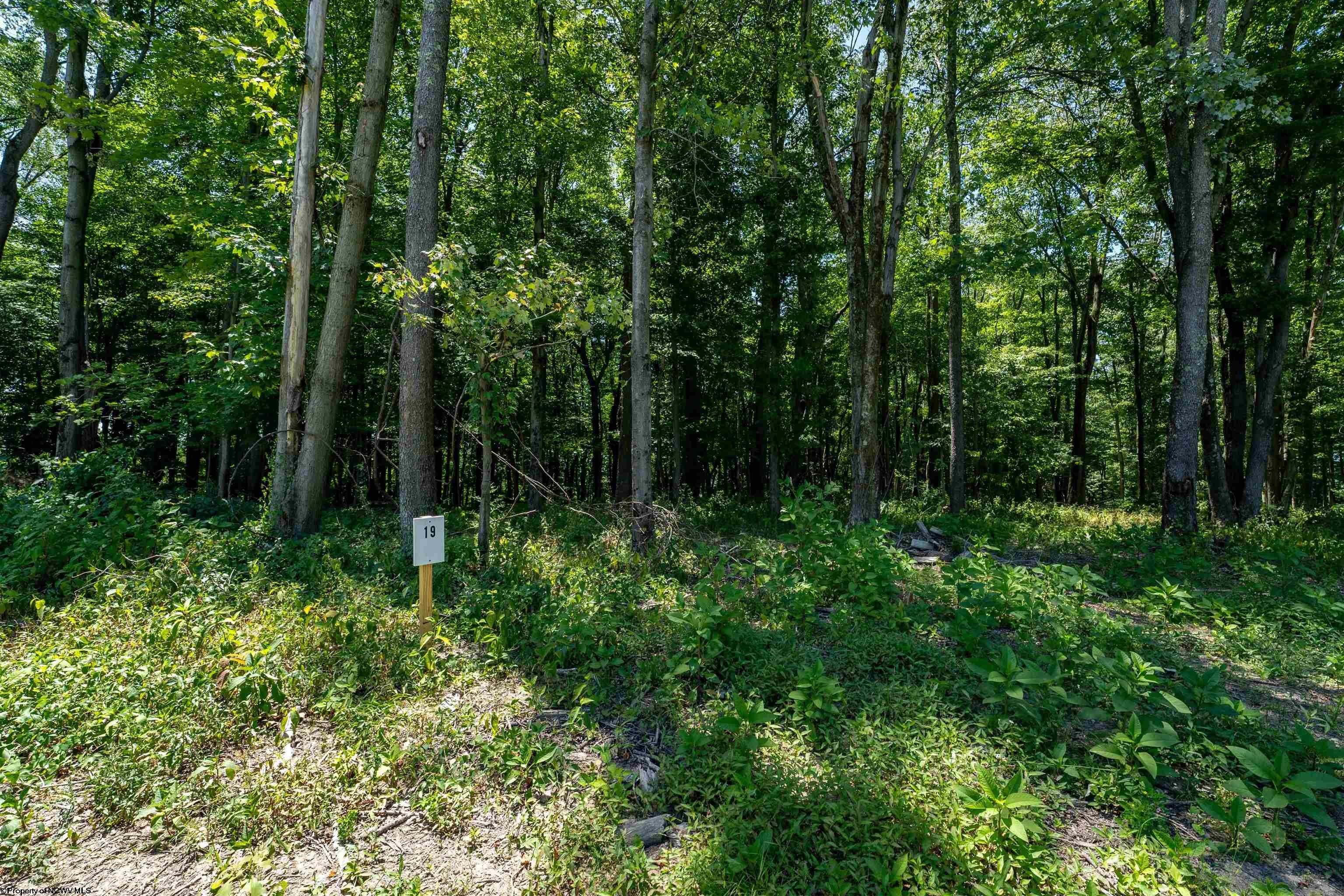 Other - Bowers Lane lot: 19, Morgantown, WV