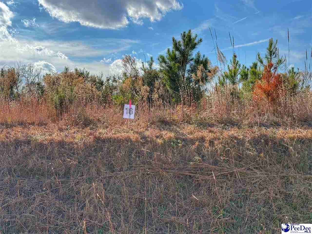 Other - E Academy Street Ext. lot: 16, Latta, SC