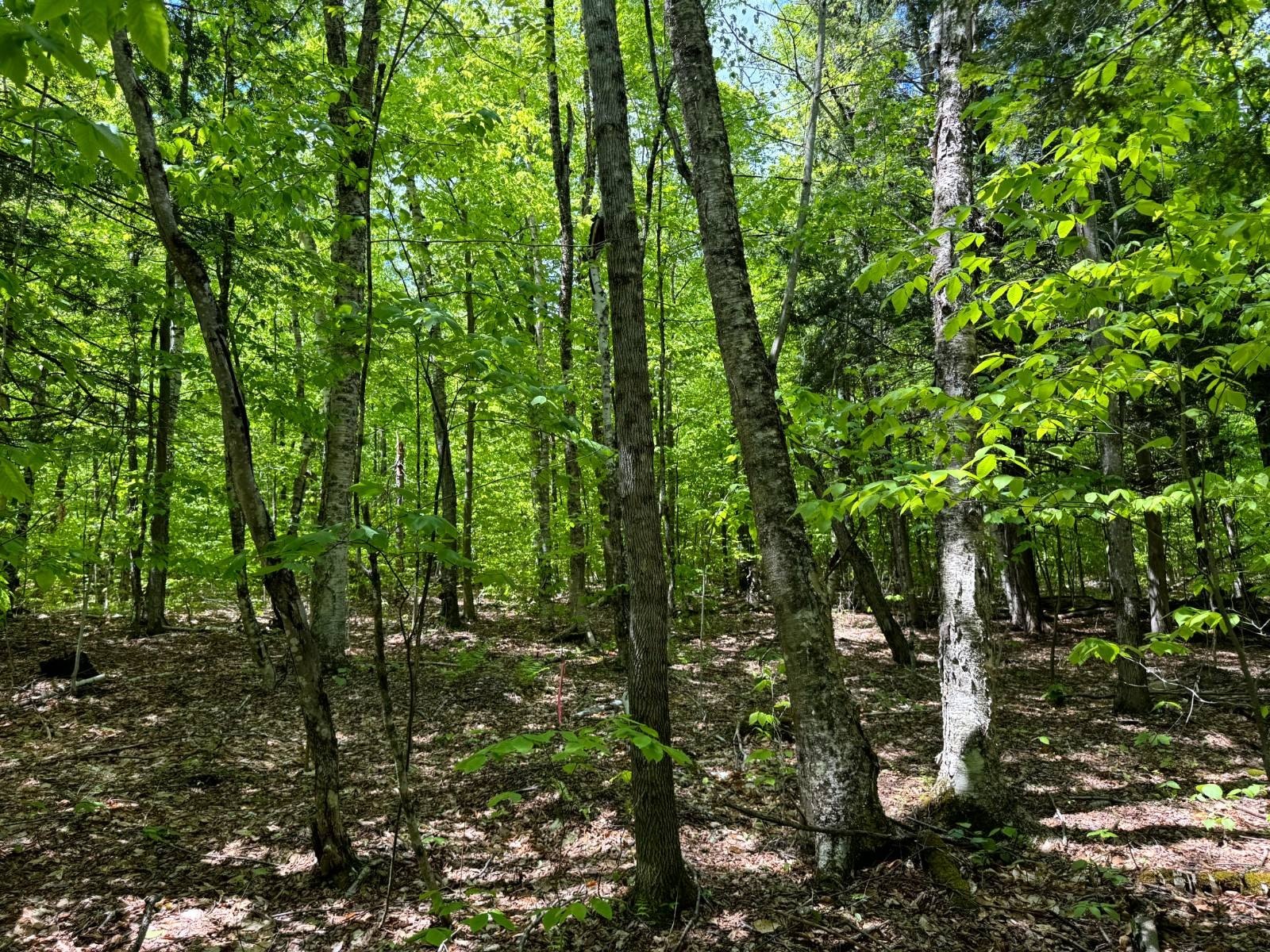 Other - 1.3 Cobble Creek Rd., Chester, NY