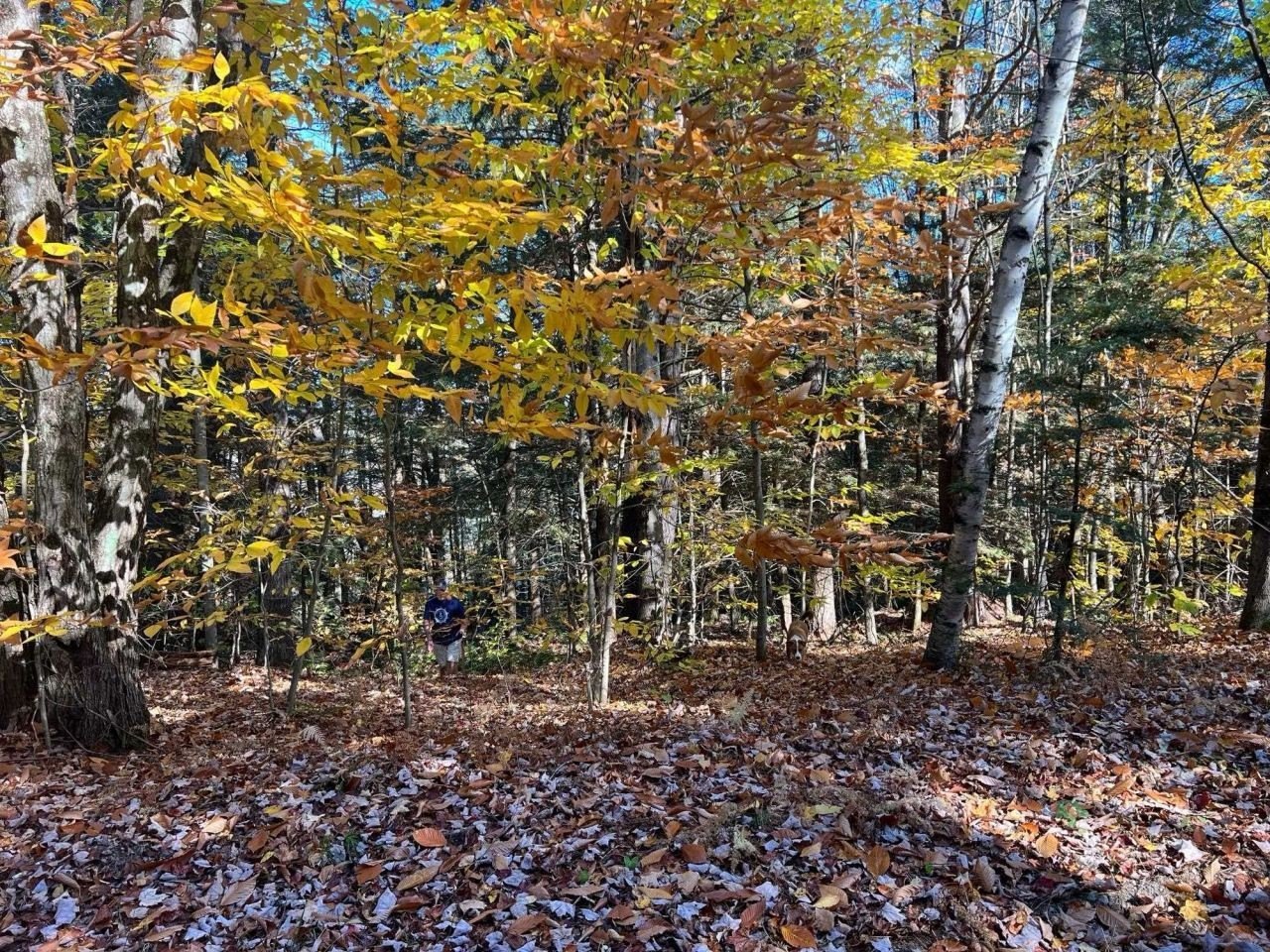Other - Lot 2 Laurel Lane, Wilmot, NH