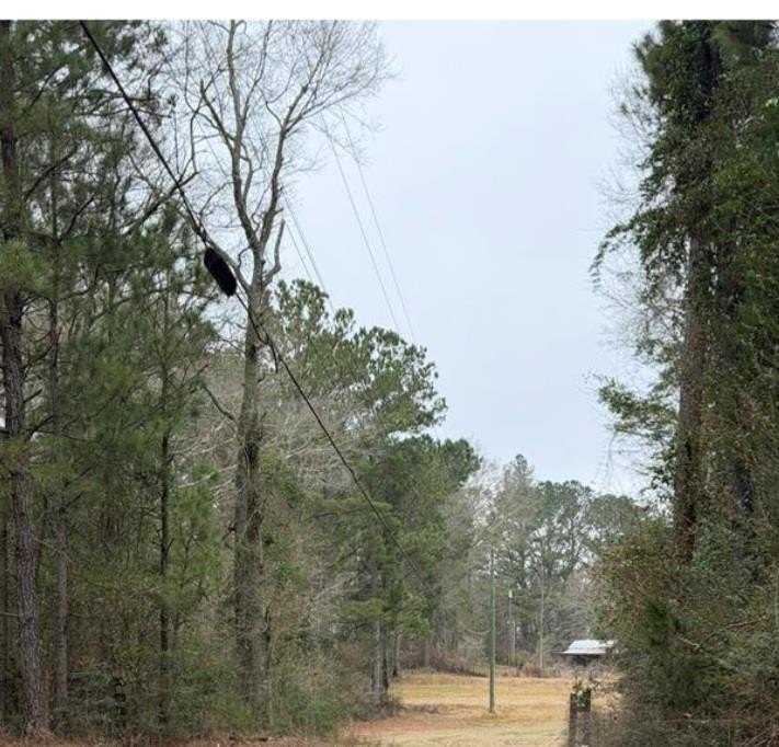 Other - 71 THOMAS ED RUSTIN RD, Laurel, MS
