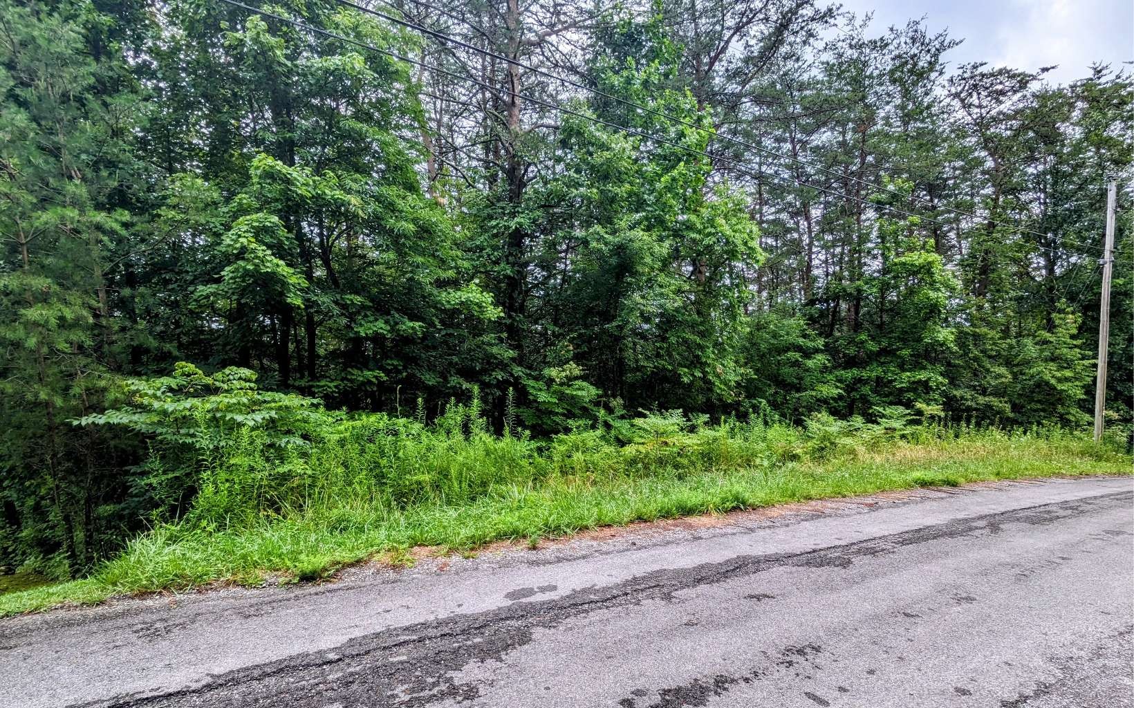 Other - Lot32 Lakeview Drive, Turtletown, TN