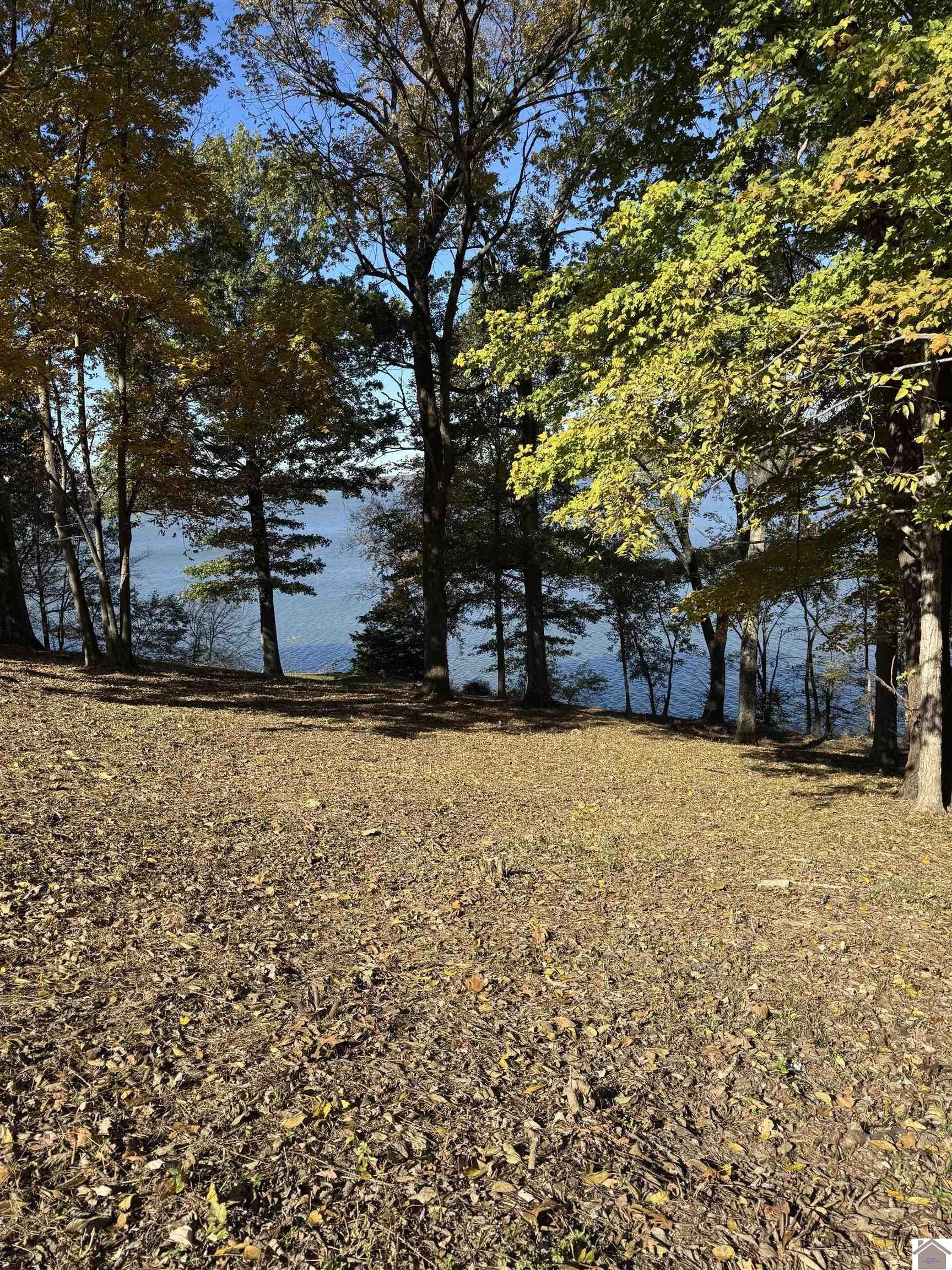 Other - Rimcrest Circle lot: 57, Cadiz, KY