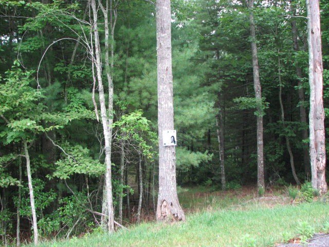 Other - 117 HENRY PLACE, DANIELS, WV