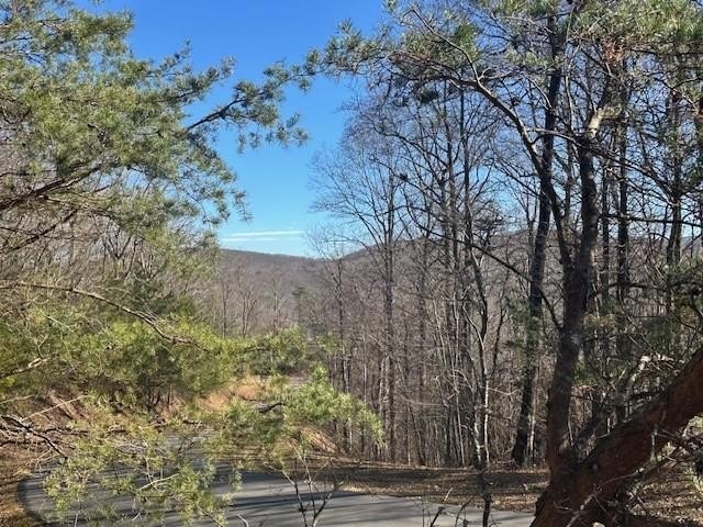 Other - 257 Andes Ridge, Jasper, GA