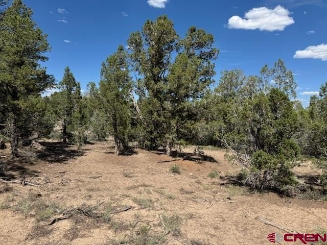 Single Family - 2519 Green Shadows Road, Durango, CO
