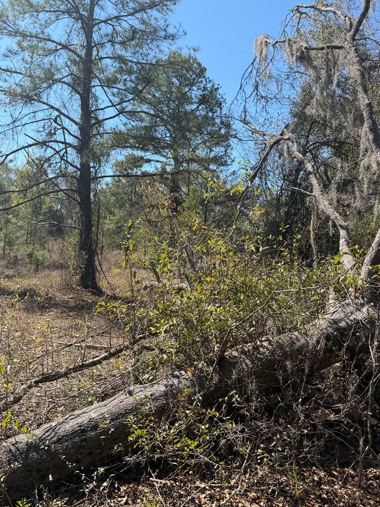 Single Family - 0 KNIGHTS LN, Valdosta, GA