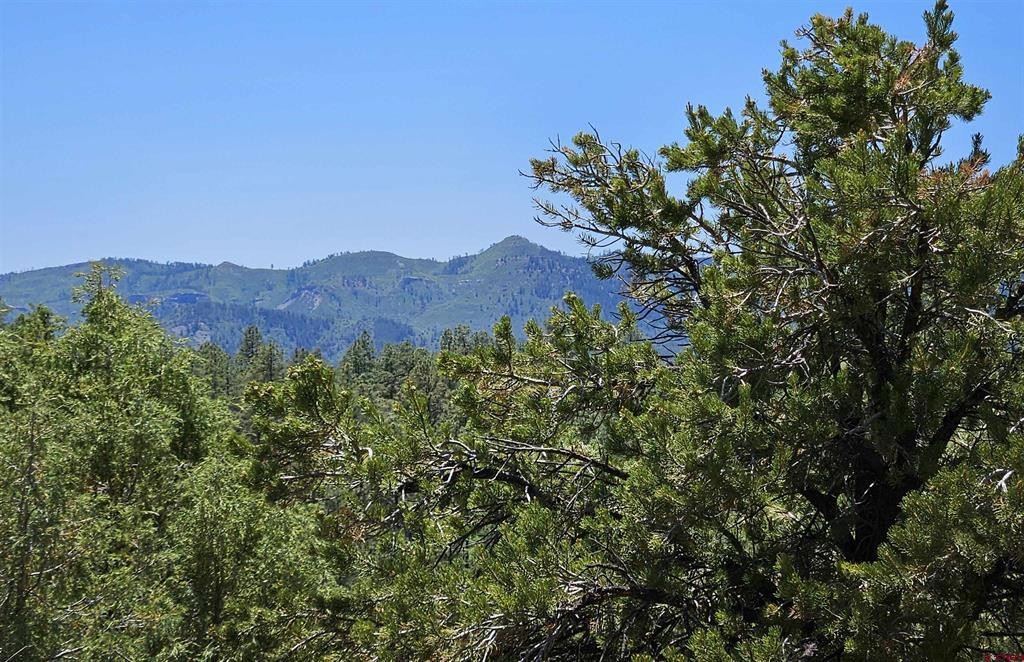 Single Family - 73 Wayne's Court, Pagosa Springs, CO