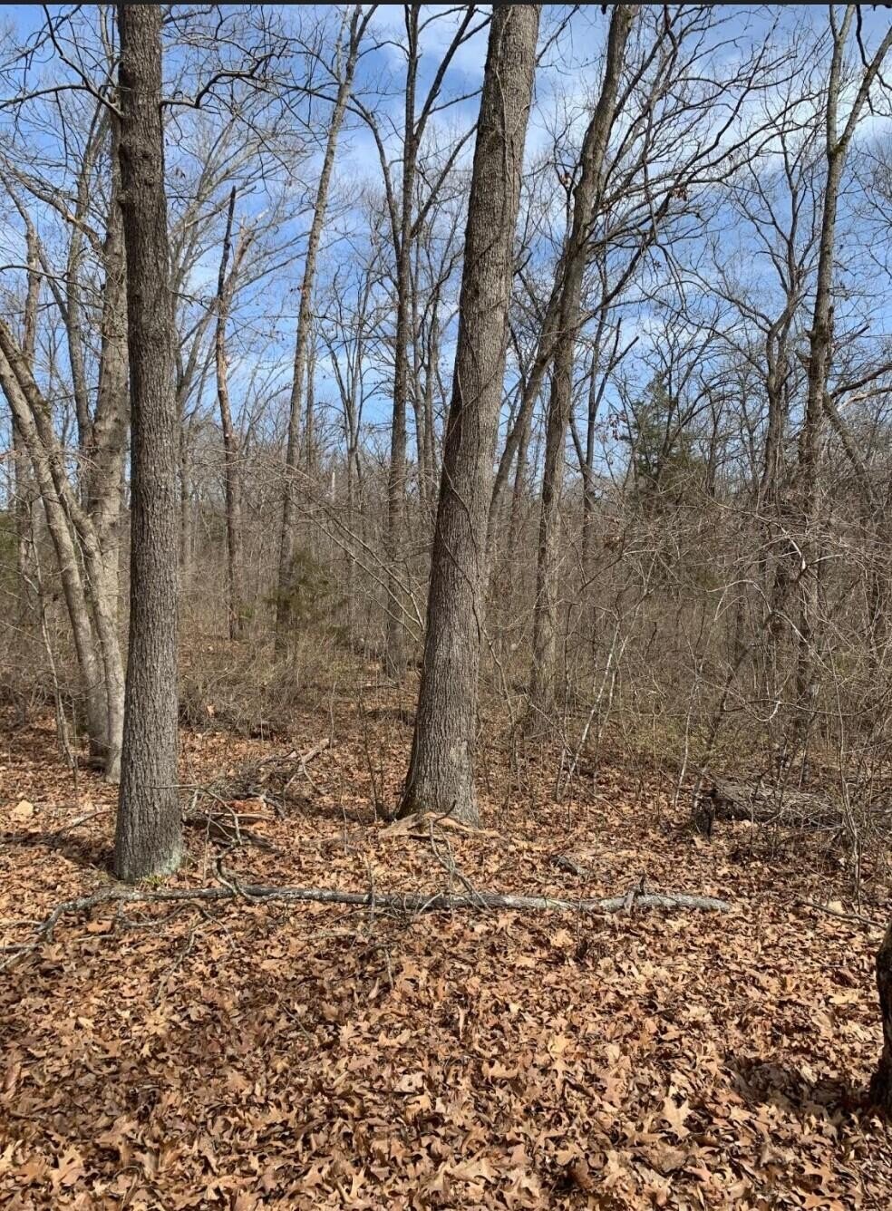 Tbd Tract 6 Sans Souci Dr  