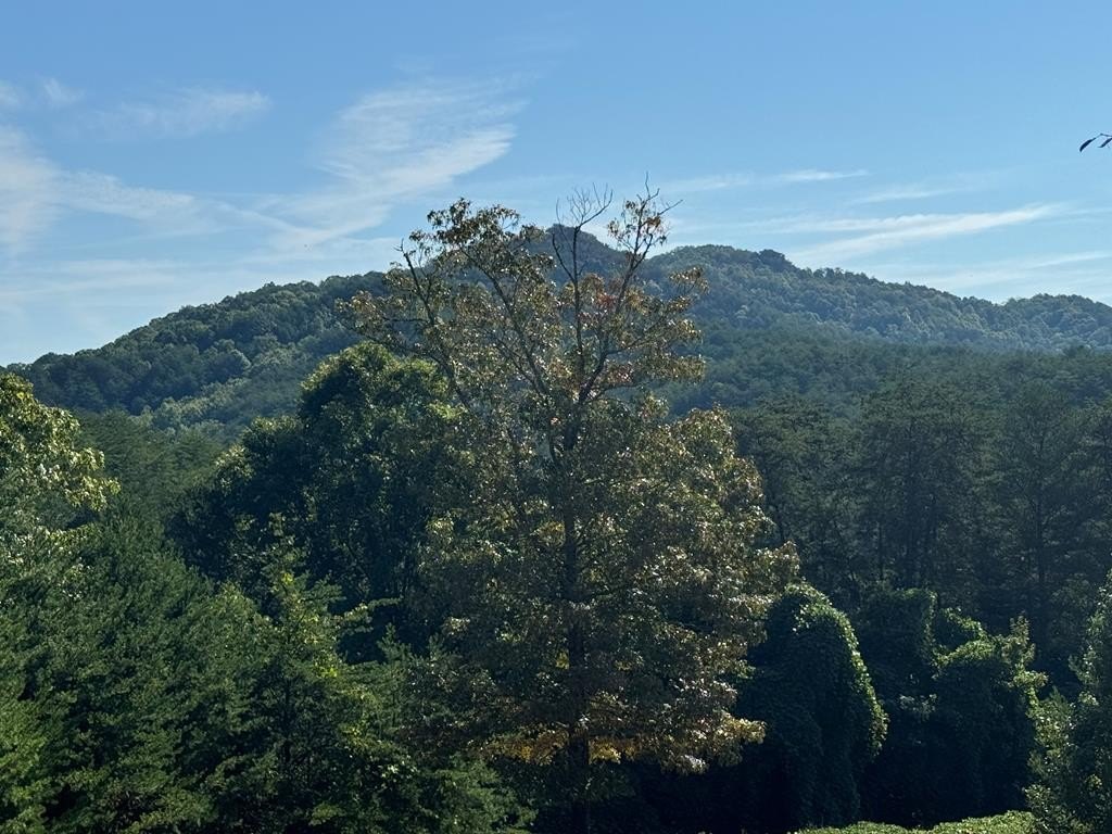 Other - 130 Golden Eagle Circle lot: 4, Turtletown, TN