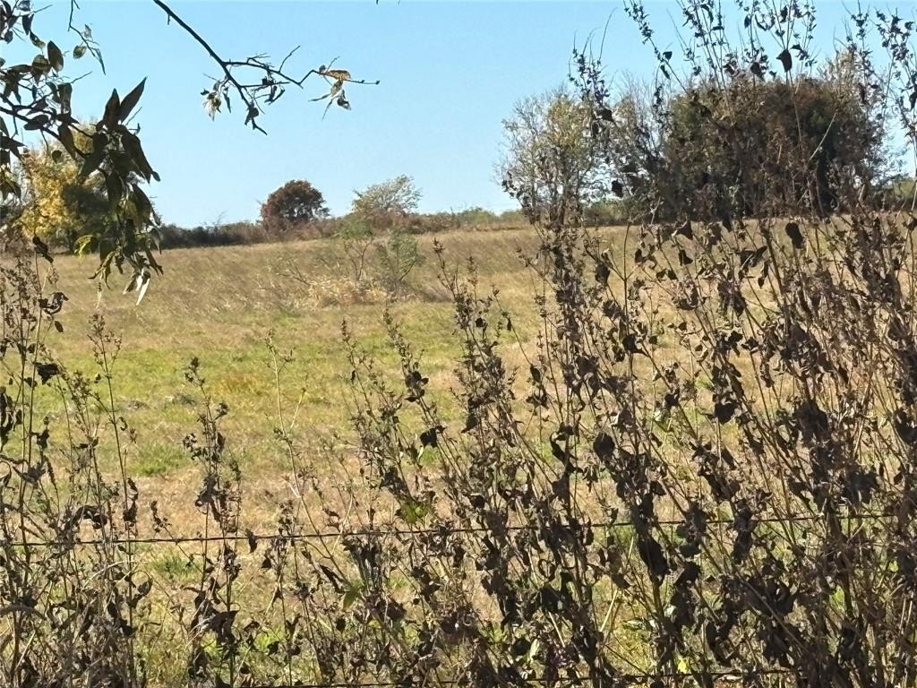 Plots and Land - 13.8 Acres / Tract 6 Winn Road, Collinsville, TX