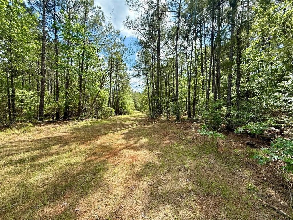 Other - 130 Doyston, Simsboro, LA