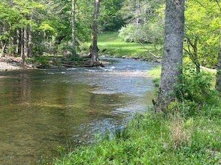 Other - Double Creek Drive, Suches, GA