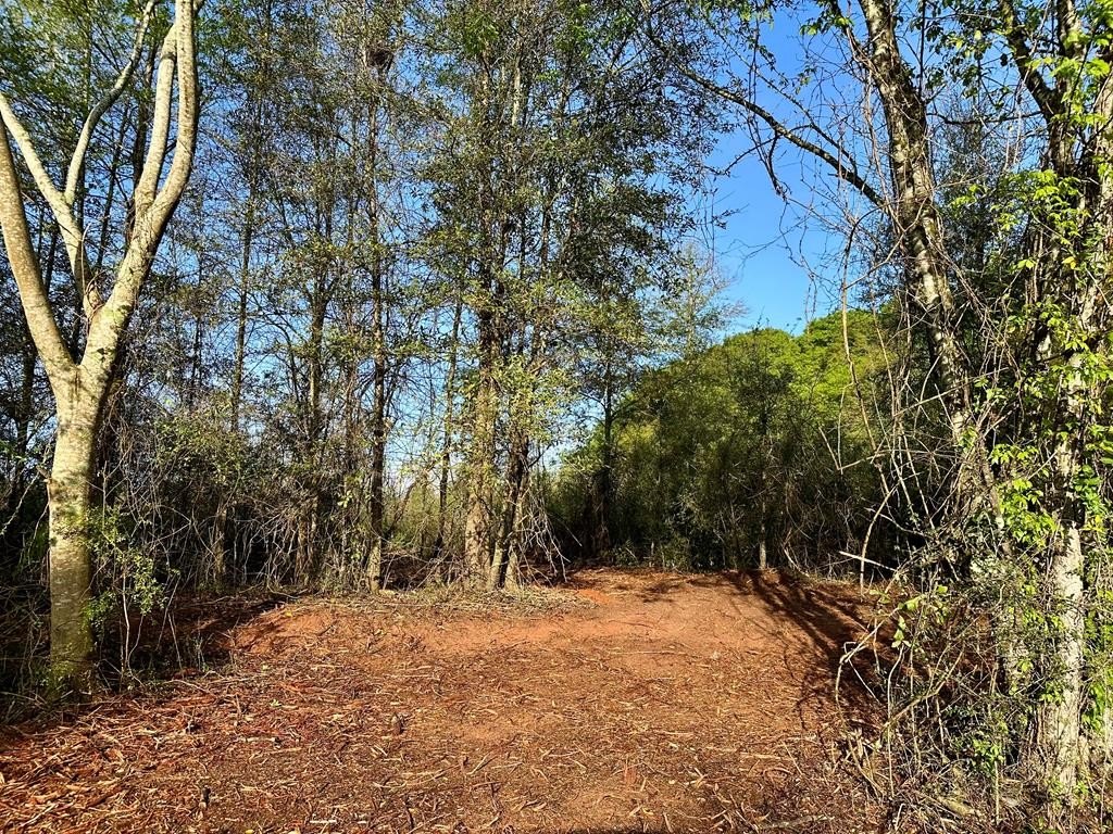 Single Family - 5.14 Acres County Road 61, Hartford, AL