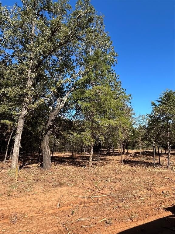 Other - Annahill, Whitesboro, TX