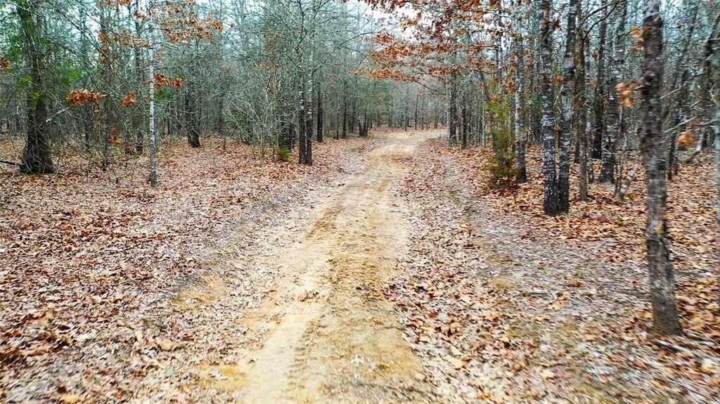 Plots and Land - 1200 County Road 1255, Detroit, TX