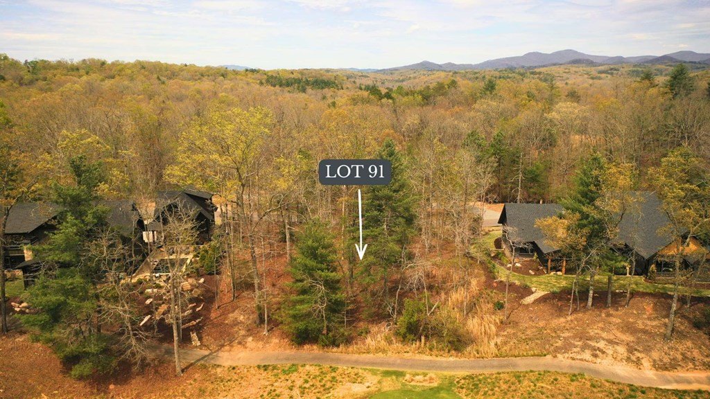 Other - Lot 91 Fallen Leaf Road, Mineral Bluff, GA