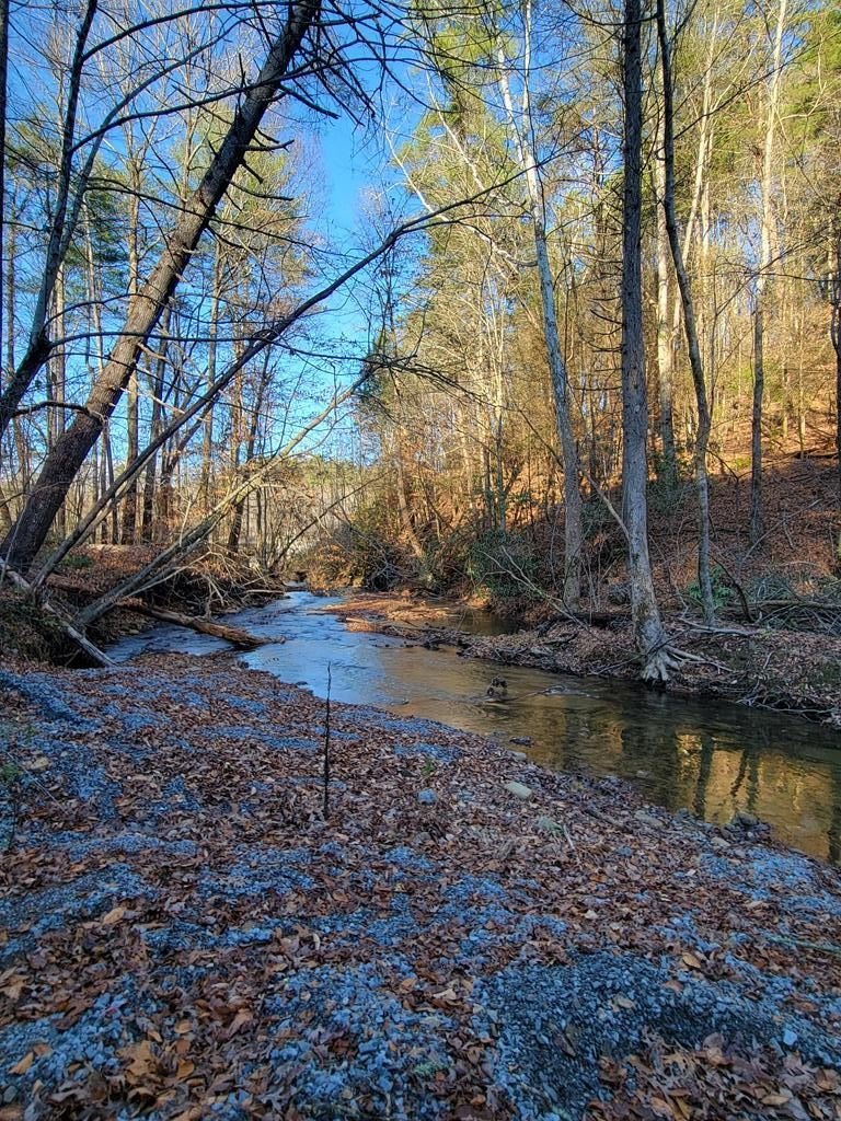 Other - 23 Mountaingate Way, Ellijay, GA