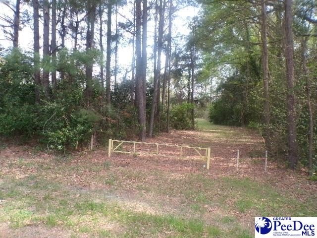 Other - Lot 2 Easy St, Hartsville, SC