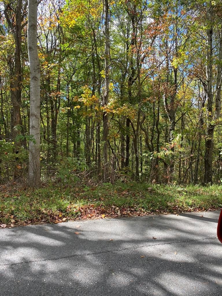 Other - Stinson Ridge lot: 047A, Jewell Ridge, VA