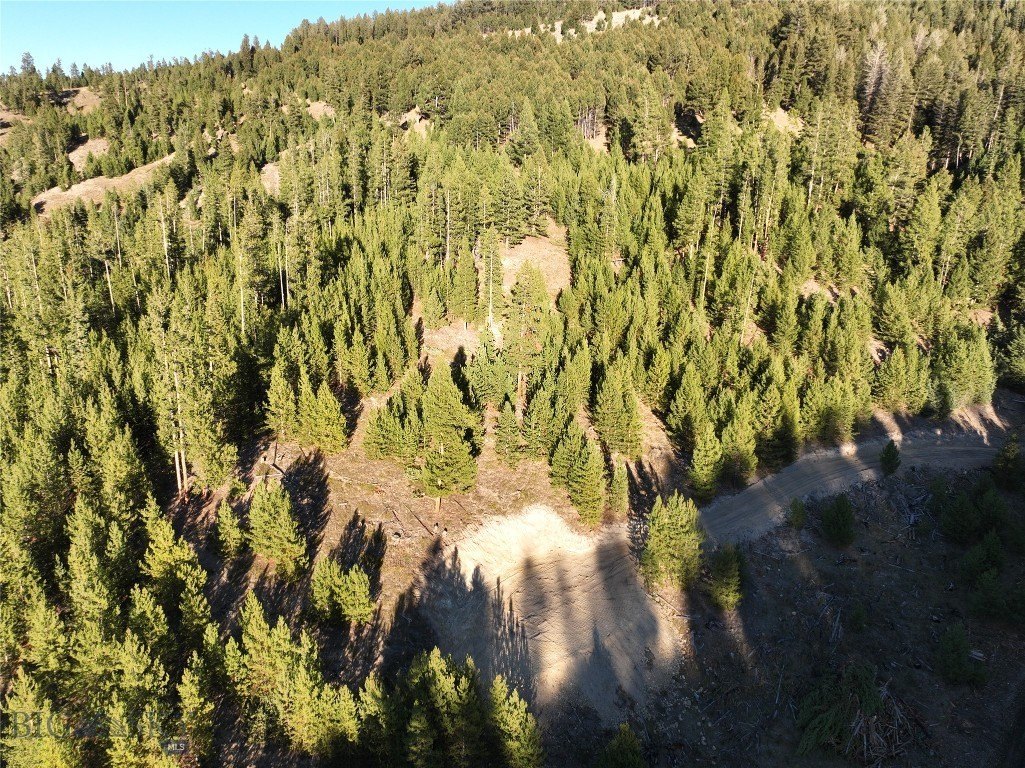 Plots and Land - Lot 5 Ruby Mine Road, Butte, MT