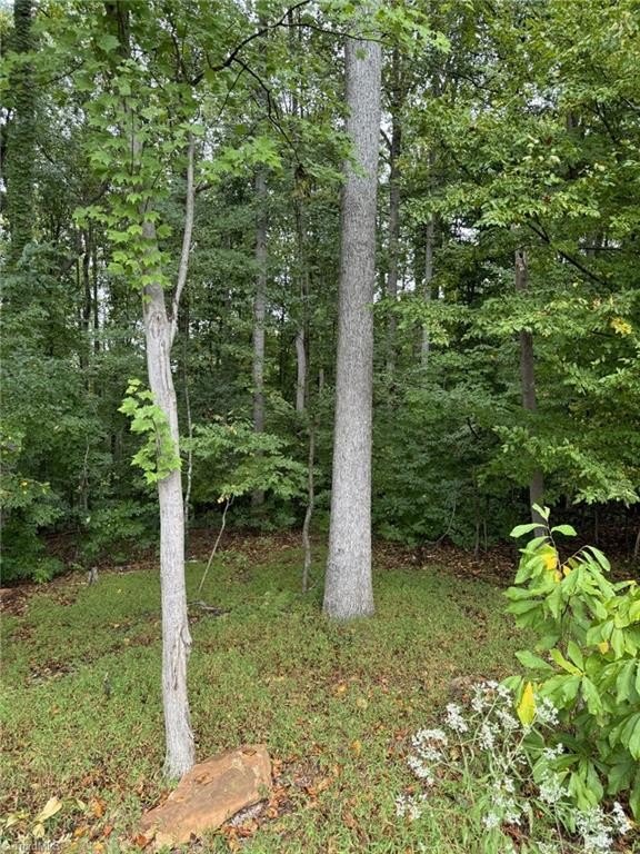 Single Family - 721 Surrey Path Trail, Winston-Salem, NC