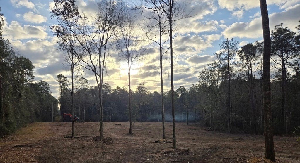 Other - 619 Lakeside Dr., Carriere, MS