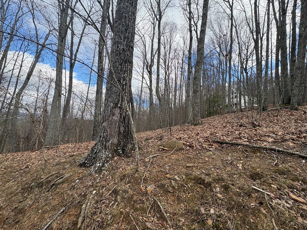 Other - 7c & 7d Timber Bend, Blairsville, GA