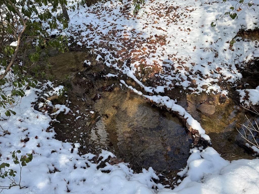 Other - Cliff Park Rd. lot: 16, Monterey, TN