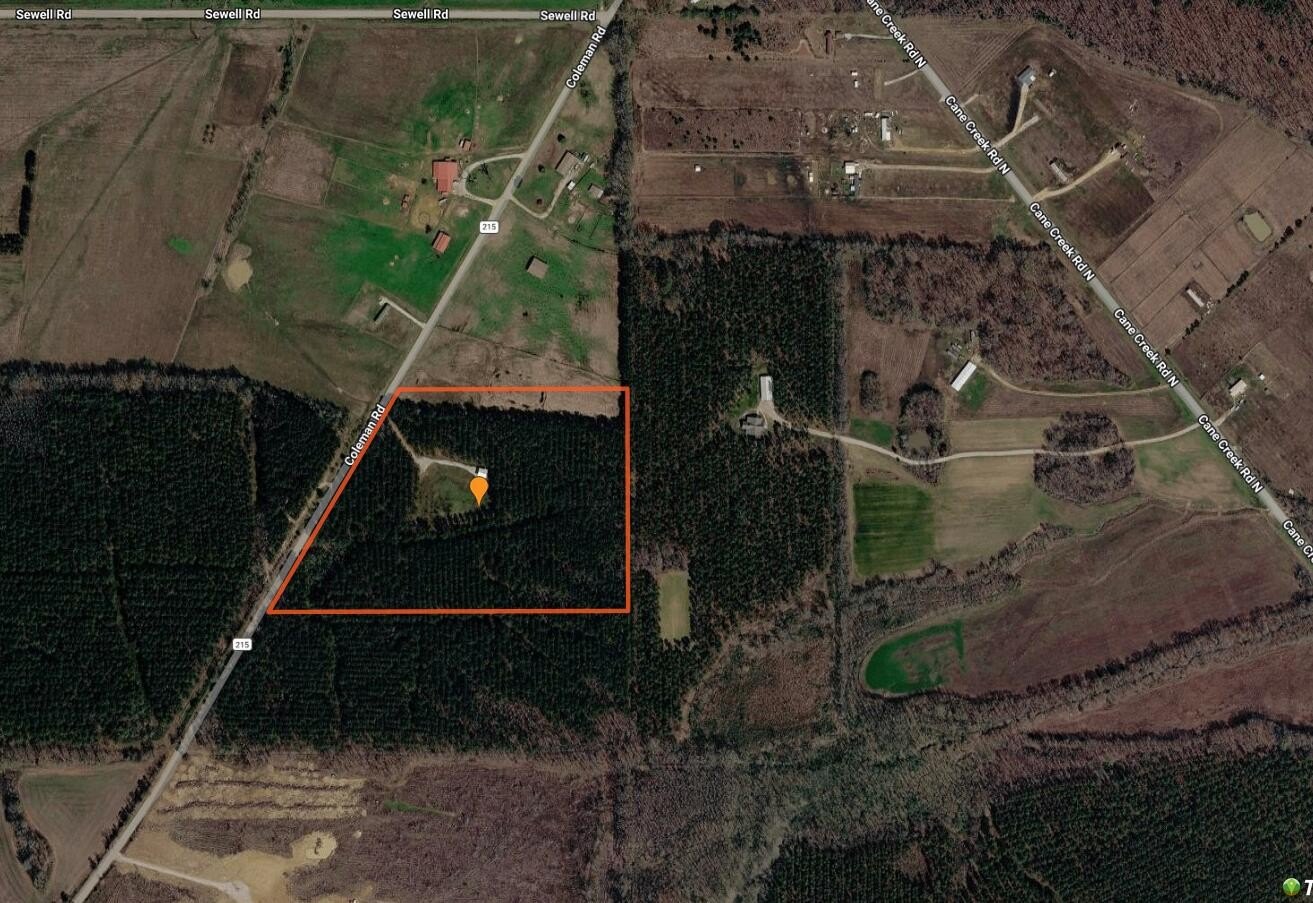Single Family - Coleman Road, Thaxton, MS