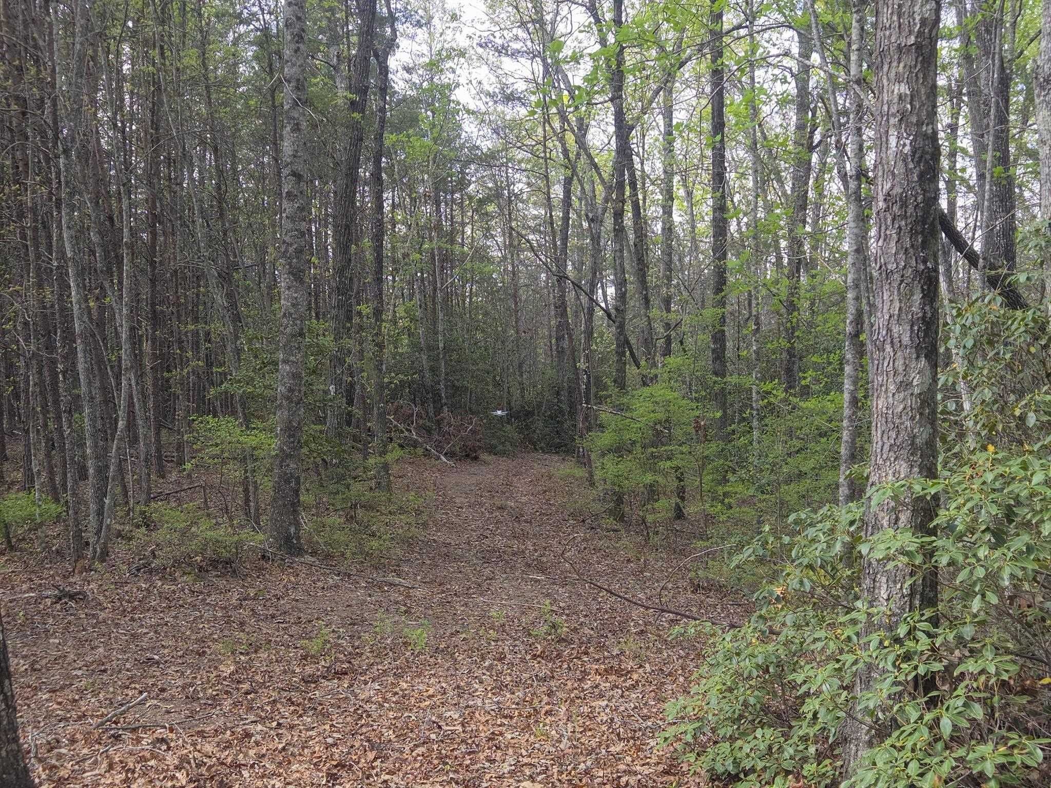 Other - Pumpkintown Hwy 8 Tract A, Pickens, SC