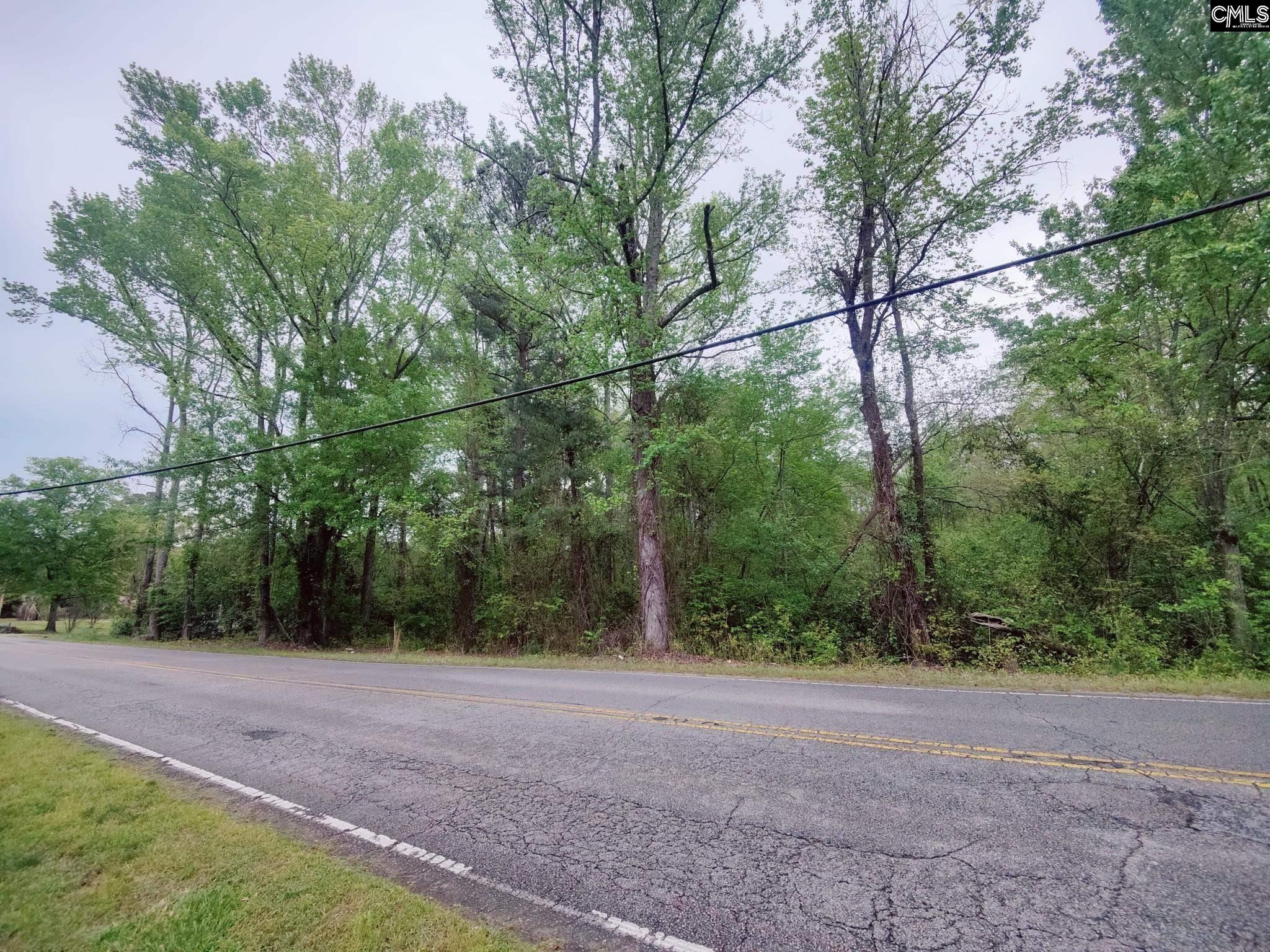 Other - Mineral Springs Road, Lexington, SC