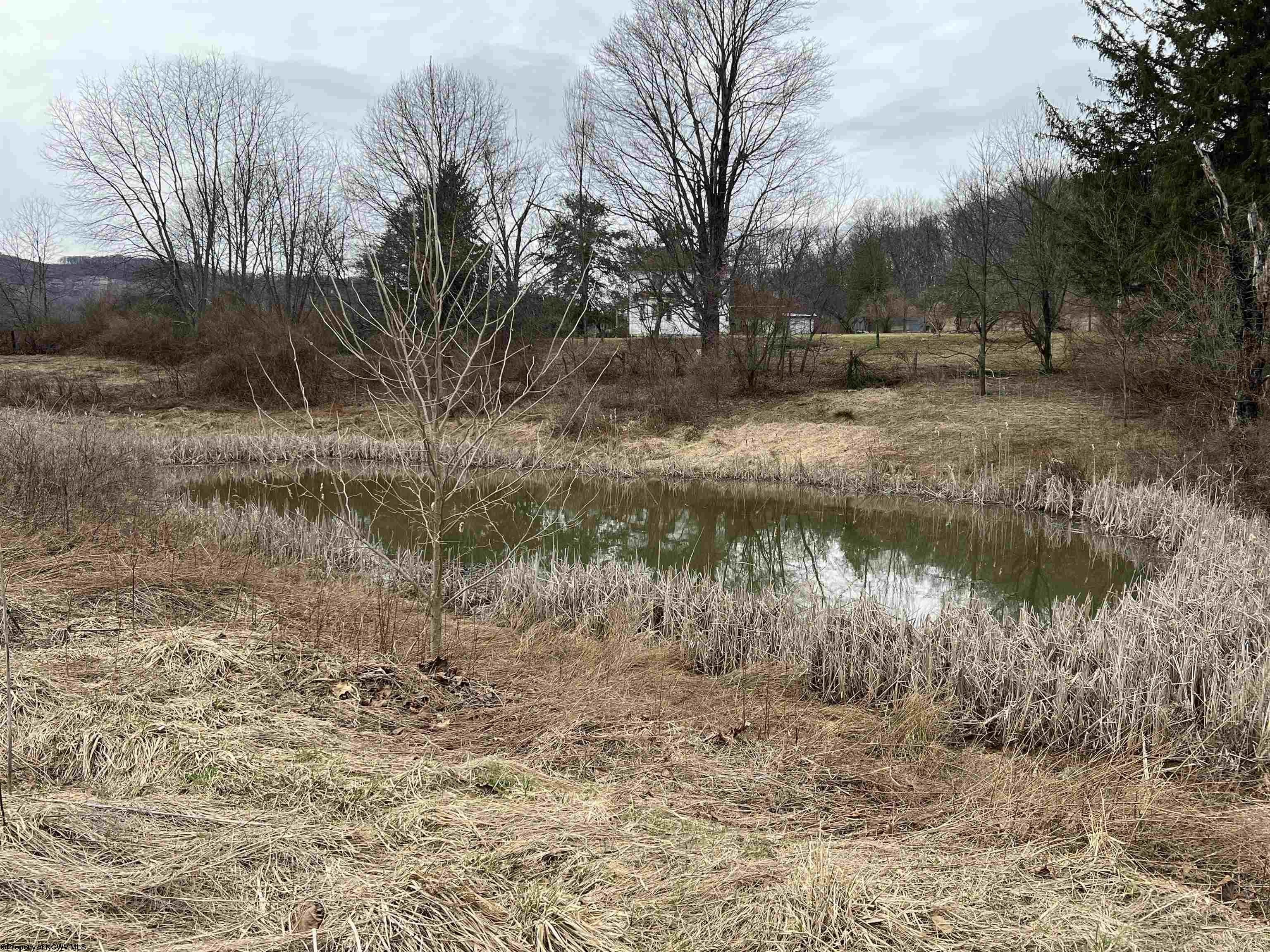 Other - LOT 41 Hayfield Loop, Elkins, WV