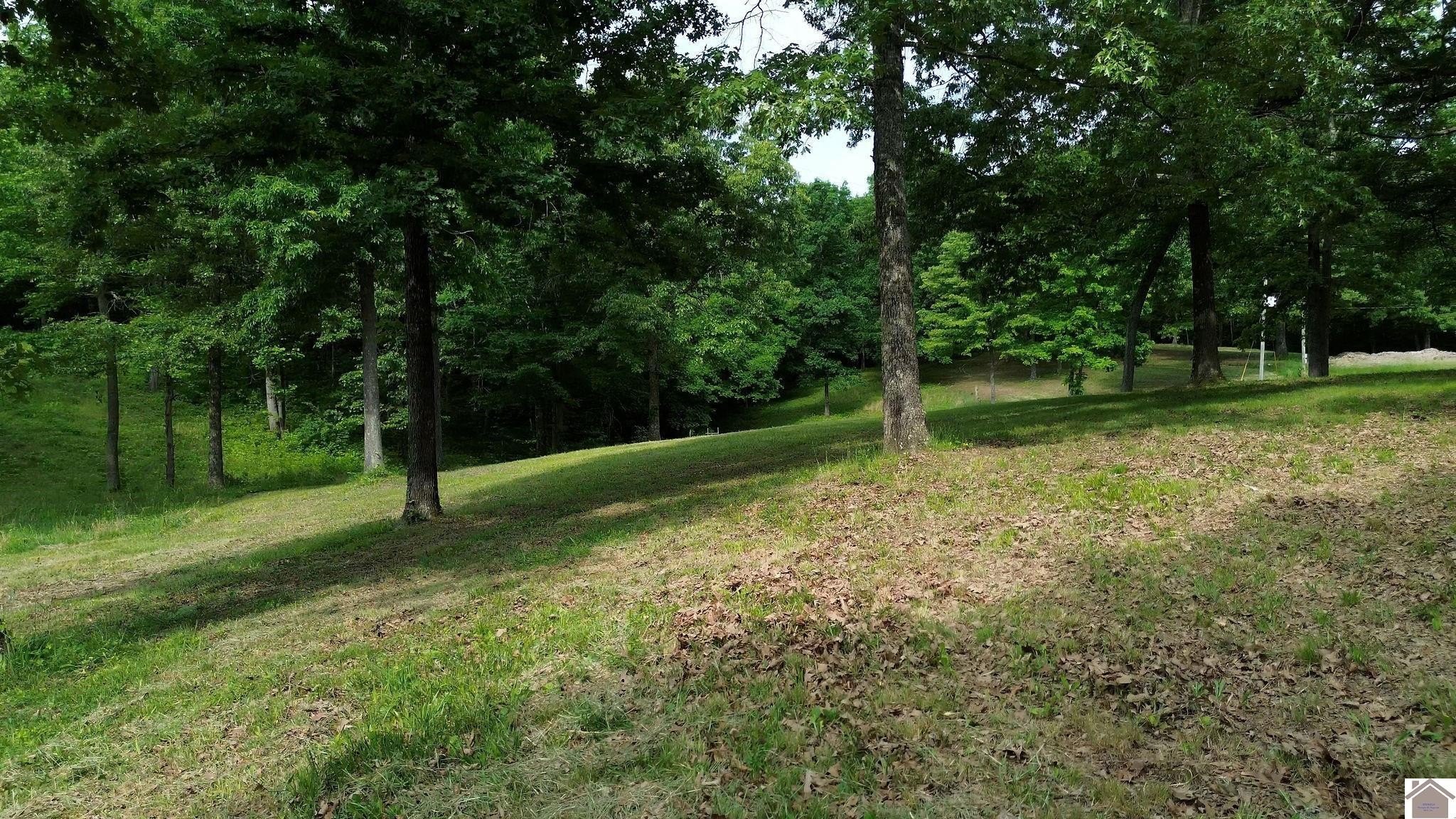 Manufactured Housing 3BR 2BA - 289 Axel Creek Road, Marion, KY