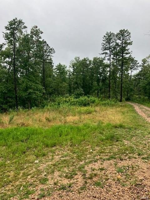 Plots and Land - 67 Madison CR 410, Fredericktown, MO