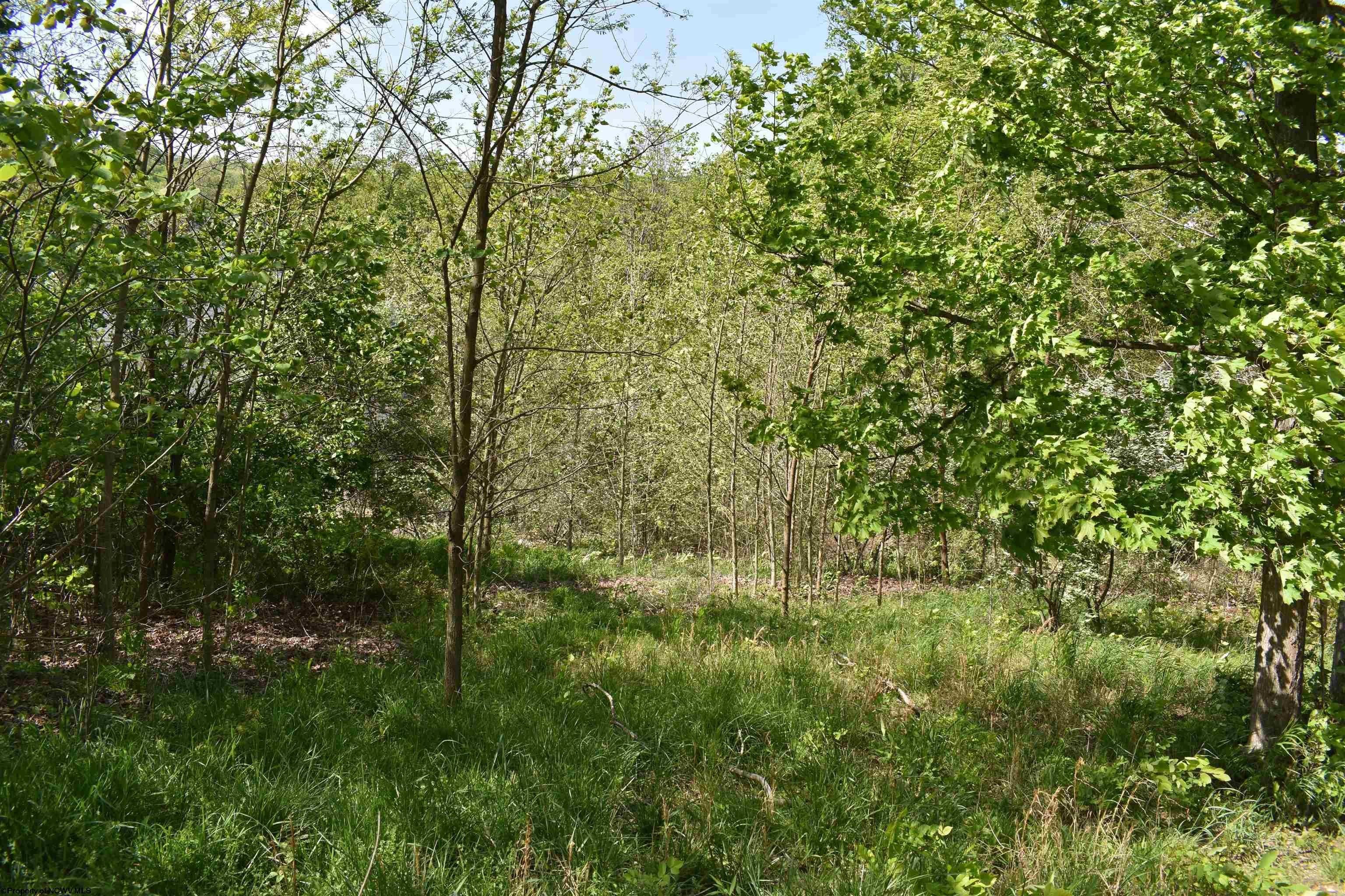 Other - Lot 54 Sanctuary Cove, Morgantown, WV