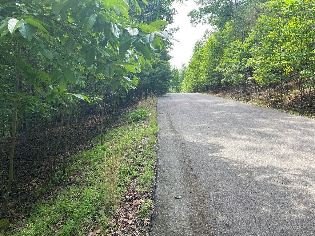 Other - Brumby Run lot: 11, Blairsville, GA