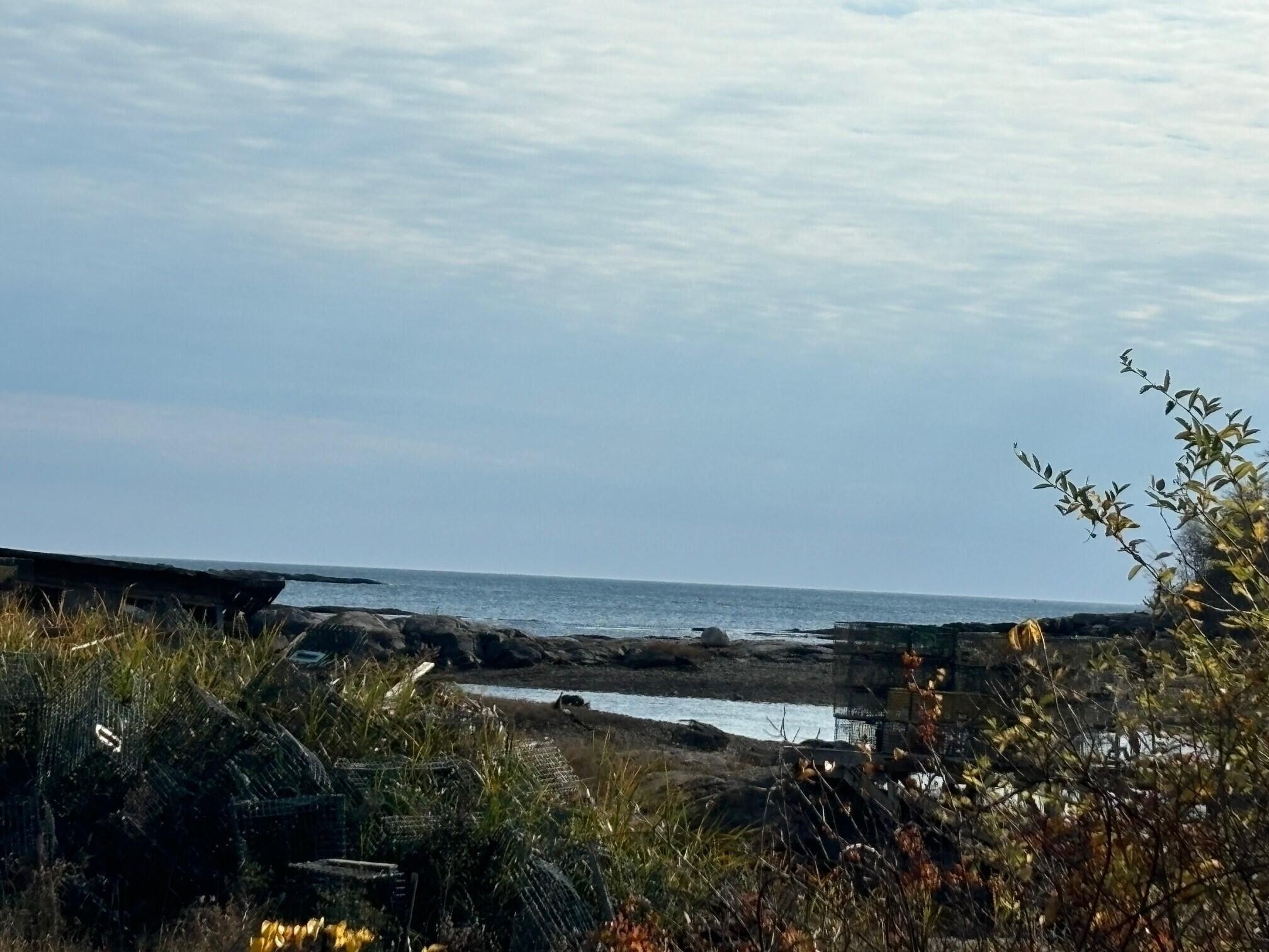 Other - 539 Harbor de Grace, Long Island, ME
