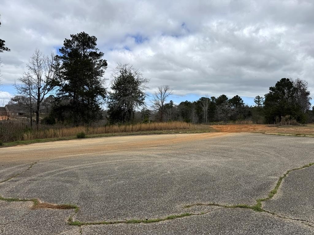 Single Family - 0 Ashley Court, Headland, AL