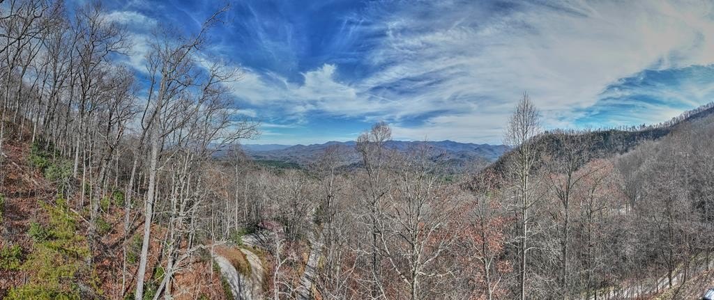 Other - Long Branch Rd lot: 17, Bryson City, NC