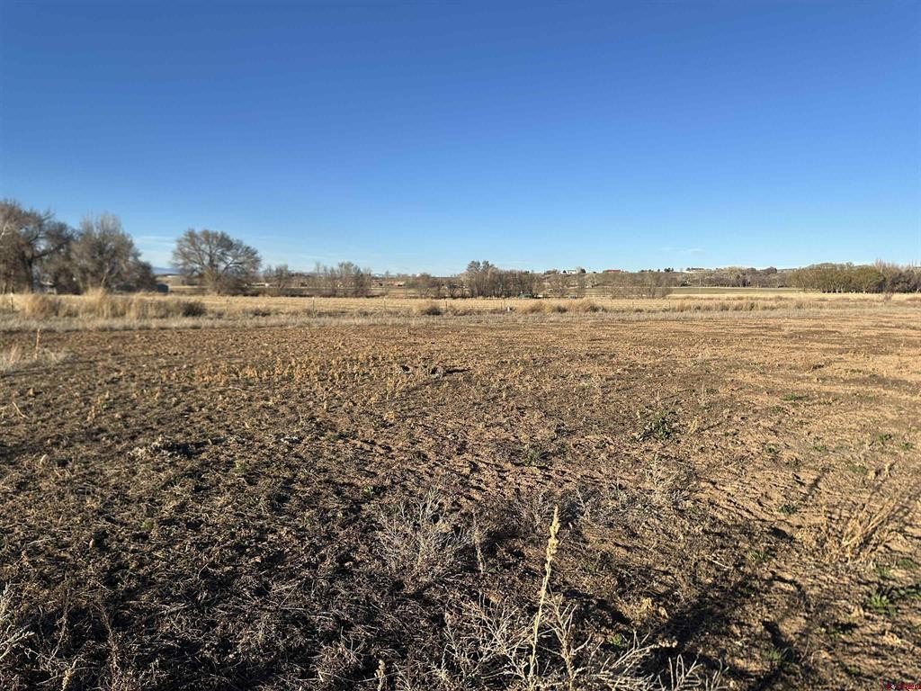 Single Family - TBD Lot 2 5800 Road, Montrose, CO