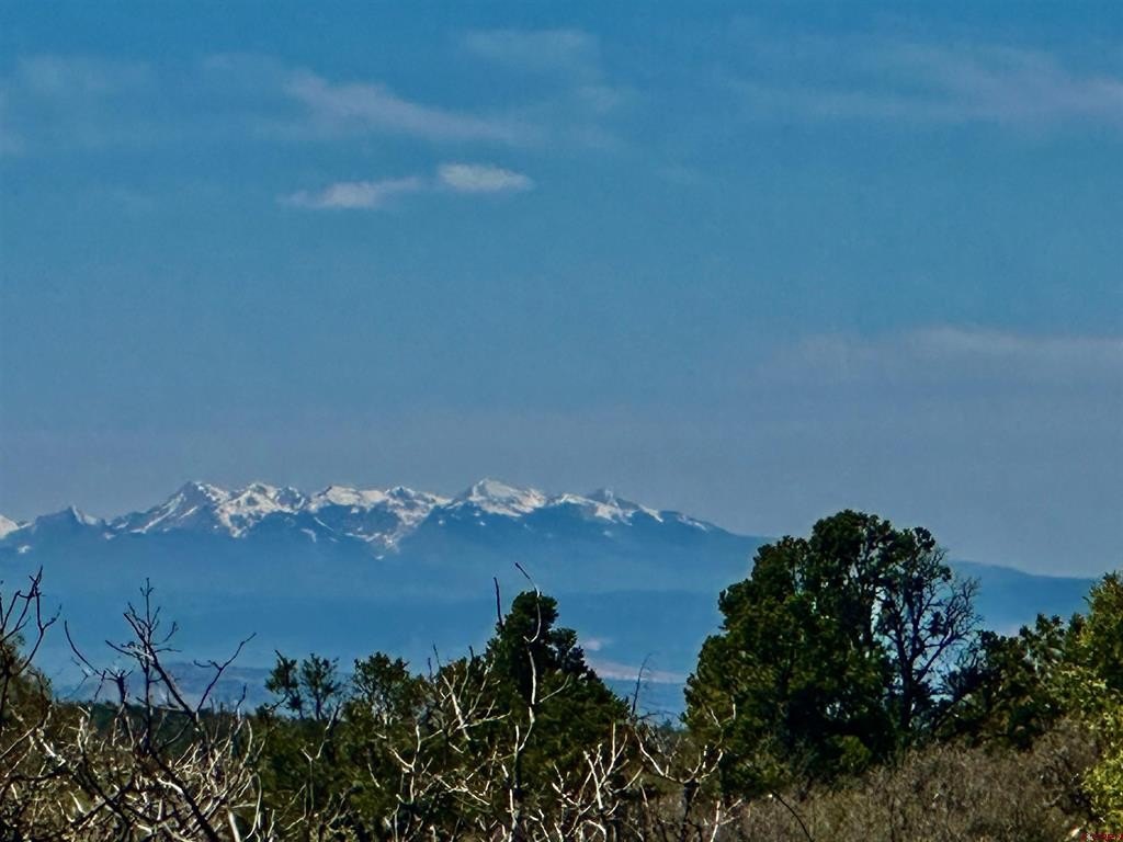Single Family - N Gurley Reserve, Norwood, CO